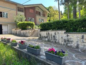 A garden outside VILLA OLGA