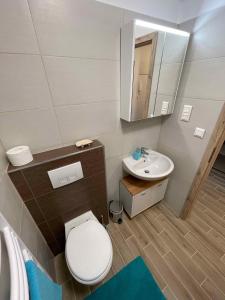La salle de bains est pourvue de toilettes blanches et d'un lavabo. dans l'établissement Apartment in Balatonlelle 44077, à Balatonlelle