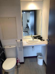 een badkamer met een toilet, een wastafel en een spiegel bij Appart LOURDES 100 m GARE - 4 Places avec Balcon 10mn Sanctuaire in Lourdes