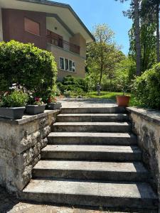 A garden outside VILLA OLGA