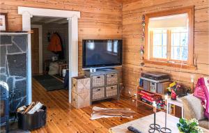 un soggiorno con TV in una parete in legno di 4 Bedroom Lovely Home In Storlien a Storlien