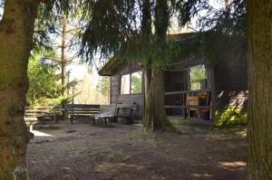 a log cabin with a bench and a tree at Ośrodek Wypoczynkowy A26 - Mazury in Ełk