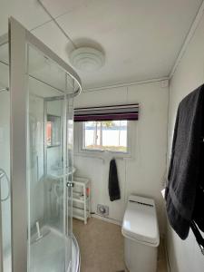 ein Bad mit einer Glasdusche und einem WC in der Unterkunft Camp Caroli 2.0 in Jukkasjärvi