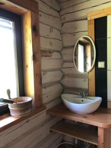 Vonios kambarys apgyvendinimo įstaigoje Holidayhouse with sauna and pond