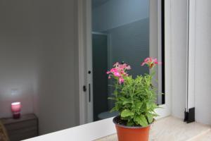 Fotografie z fotogalerie ubytování BED & BREAKFAST VAL di ERICE v destinaci Valderice