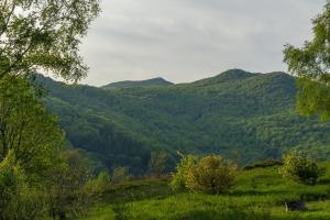 旅馆周边自然景观