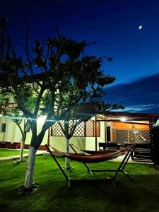 eine Hängematte im Garten eines Hauses in der Nacht in der Unterkunft Vila Aty & Michelle in Vama Veche