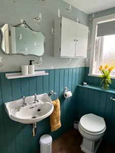 a bathroom with a sink and a toilet at Peedie Cott Self-Catering, Orkney in St Margaret's Hope