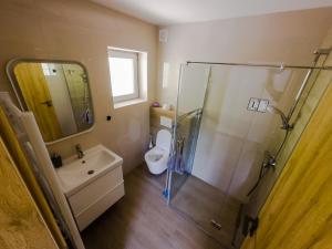 a bathroom with a shower and a sink and a toilet at APARTMAJI SILVA in Slap ob Idrijci