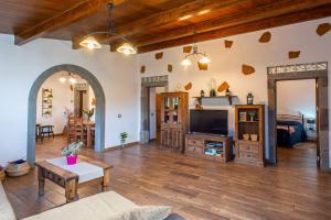 a living room with a couch and a tv at Las Cuevitas del Gamonal in Santa Brígida