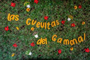 A garden outside Las Cuevitas del Gamonal