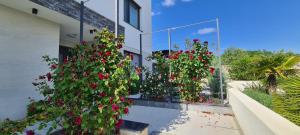 due piante con fiori rossi di fronte a un edificio di Luxury villas White Sails a Pinezići