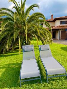 dwa łóżka siedzące w trawie obok palmy w obiekcie Casa Mojapies w mieście Ribadesella