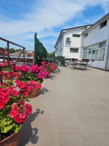 a row of flowers in pots on a patio at Vila Angelys in Tuzla