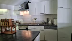 A kitchen or kitchenette at Weingut & Gästehaus Markus Tschida