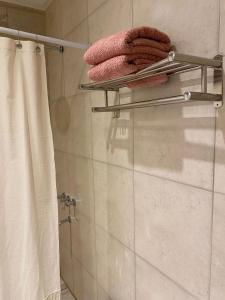 baño con toallero eléctrico y cortina de ducha en Departamento sierra de la ventana en Sierra de la Ventana