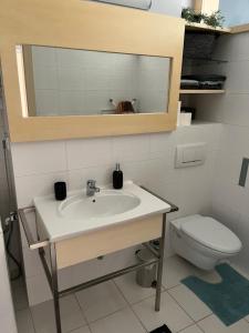 uma casa de banho com um lavatório e um WC em Apartmán Dolné Bašty em Trnava