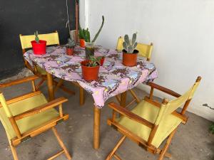 una mesa con sillas y macetas. en Maximo confort en Salta en Salta