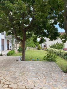 un arbre dans une cour avec une terrasse en pierre dans l'établissement Apartman Snezana Kalimanj, à Tivat