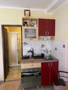 Cuisine ou kitchenette dans l'établissement Apartman Snezana Kalimanj