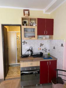 Kuchyň nebo kuchyňský kout v ubytování Apartman Snezana Kalimanj