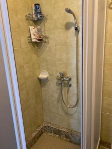 Koupelna v ubytování Apartman Snezana Kalimanj