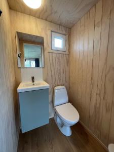 małą łazienkę z toaletą i umywalką w obiekcie Løkken Family Camping & Guesthouse w mieście Løkken