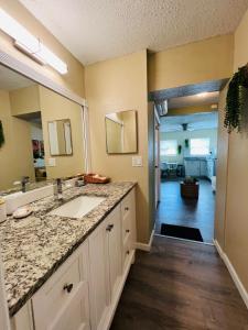 a bathroom with a sink and a counter top at Apartment near TPA Airport in Tampa