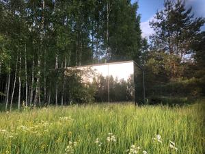 a glass house in a field of tall grass at Kuldi Mirror House in Koigera