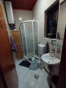 a bathroom with a shower and a toilet and a sink at Mini hiška v objemu vinograda in Pristava pri Mestinju