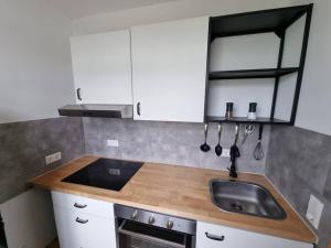 a kitchen with a sink and a counter top at Gemütliche Wohnung bei Leipzig in Schkeuditz