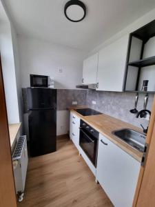a kitchen with a black refrigerator and a sink at Gemütliche Wohnung bei Leipzig in Schkeuditz