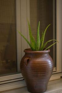 a brown vase with a plant sitting on a window sill at Deppy's Two-storey House in Corfu +19 photos