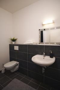 a bathroom with a sink and a toilet and a mirror at Apartment/Unterkunft mit Küche in guter Lage in Nettelsee