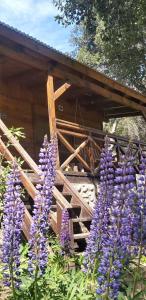 Un mazzo di fiori viola davanti a un edificio. di La Peninsula Cabaña a San Carlos de Bariloche