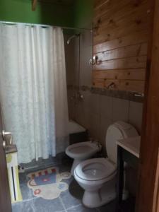 ein Bad mit einem WC und einem Duschvorhang in der Unterkunft La Peninsula Cabaña in San Carlos de Bariloche