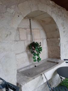 uma parede de pedra com um vaso de plantas em Le studio de la Clarté em Périgueux