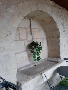 Gallery image of Le studio de la Clarté in Périgueux