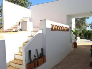 a white staircase with cactuses on the side of a house at Eco-Villa Monte Do Barrocalinho in Loulé +75 photos