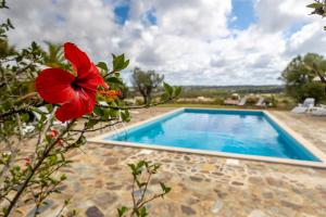 a red flower next to a swimming pool at Monte Cerro da Vigia by Vacationy in Zambujeira do Mar