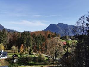 a view of a valley with trees and mountains at Ferienwohnung Panoramaglück in Bad Goisern