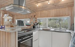 Kuchyň nebo kuchyňský kout v ubytování 3 Bedroom Amazing Home In Pandrup