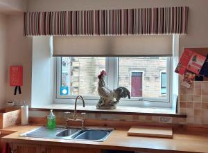 a chicken statue sitting on a kitchen sink in front of a window at Upper Deck in Eyemouth