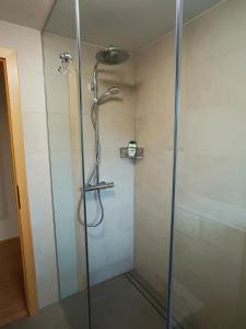 a shower with a glass door in a bathroom at Siesta apartment Bled in Bled