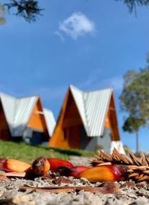 a group of houses in the background with a pile of food at Chalés da Serra in São Francisco de Paula