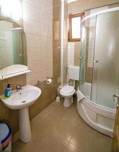 La salle de bains est pourvue d'un lavabo, de toilettes et d'une douche. dans l'établissement Vila Victory, à 2 Mai