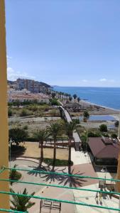 vista su una spiaggia con palme e sull'oceano di VISTA PLAYA a Algarrobo-Costa