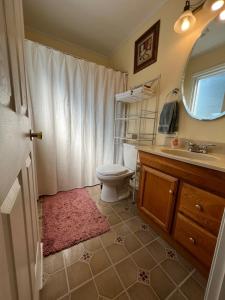 W łazience znajduje się toaleta, umywalka i lustro. w obiekcie Family-sized Contemporary in Spacious Neighbourhood w mieście Annapolis
