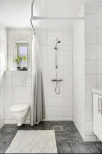 a white bathroom with a toilet and a shower at Northern Dreams Apartment with free parking in Tromsø