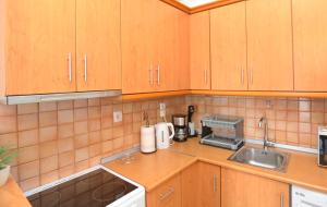 Kuchyň nebo kuchyňský kout v ubytování Dina's apartment in Iraklitsa